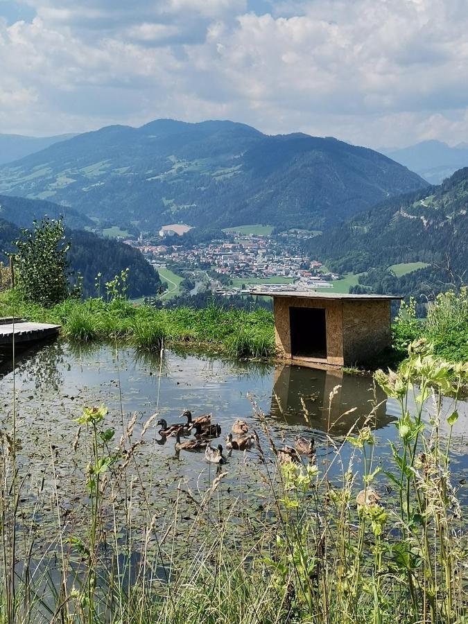 Rainerhof Lägenhet Murau Exteriör bild
