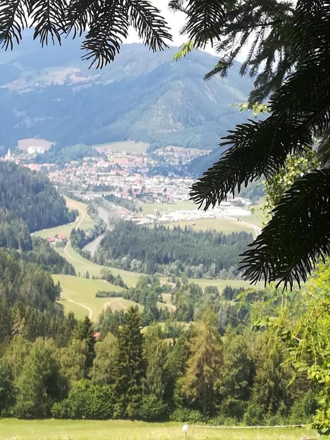 Rainerhof Lägenhet Murau Exteriör bild